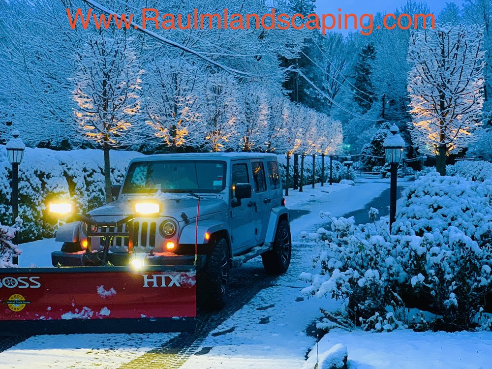 Photo of Raul Martinez Landscaping
