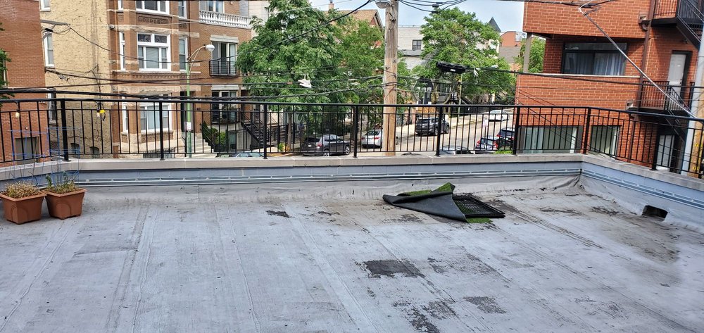 Photo of Bear Fence and Concrete