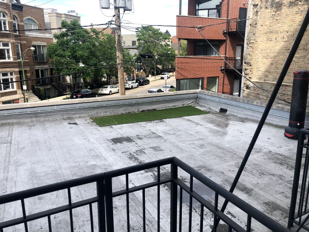 Photo of Bear Fence and Concrete
