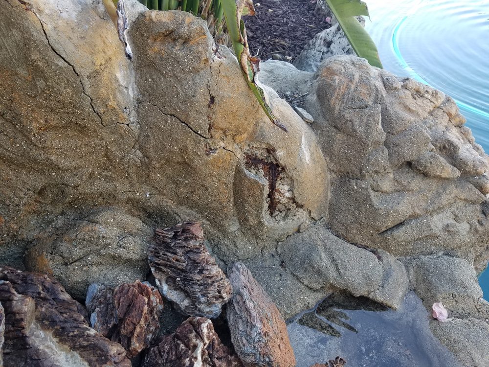 Photo of Pool Inspectors