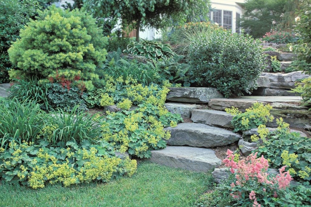 Photo of Synergy Lawnscape