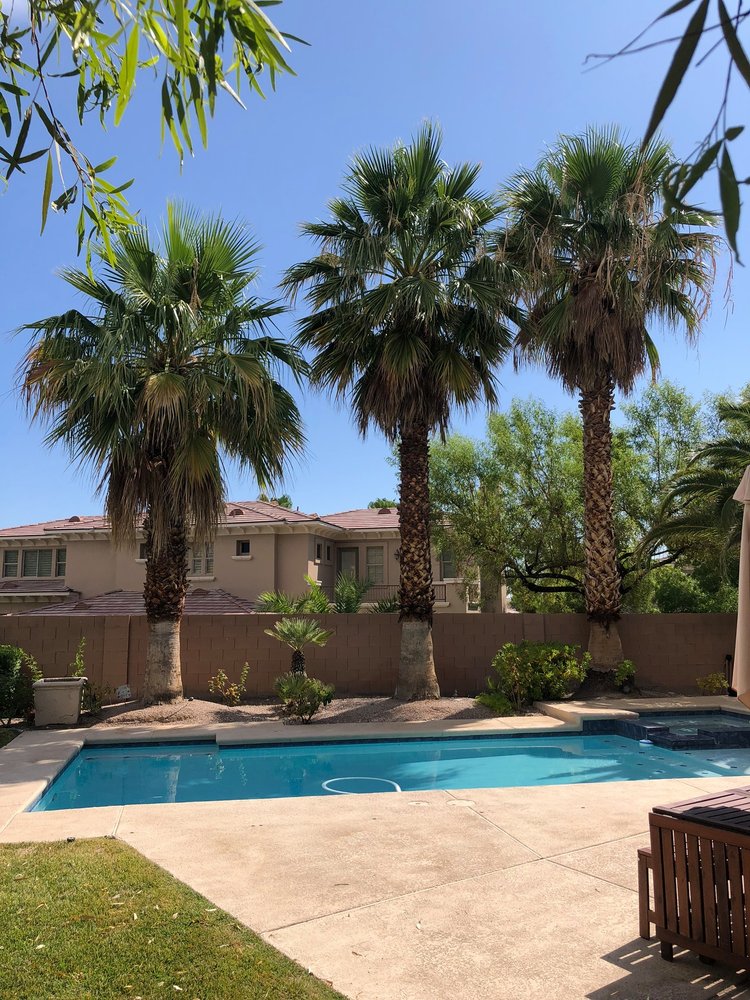 Photo of Pablo's Palmas Tree & Landscaping Services