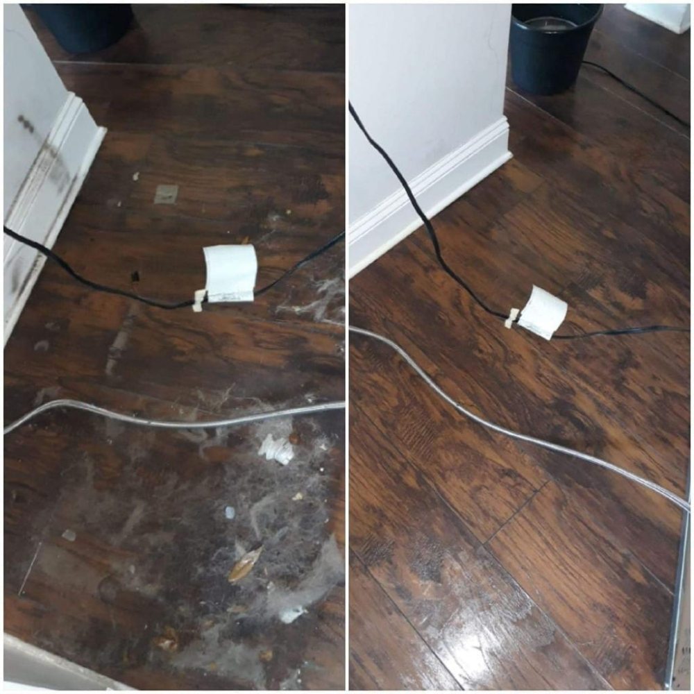 Photo of Dominican Cleaning Service