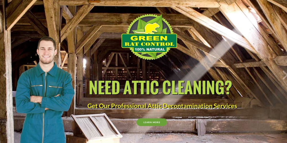 Photo of Green Rat Control
