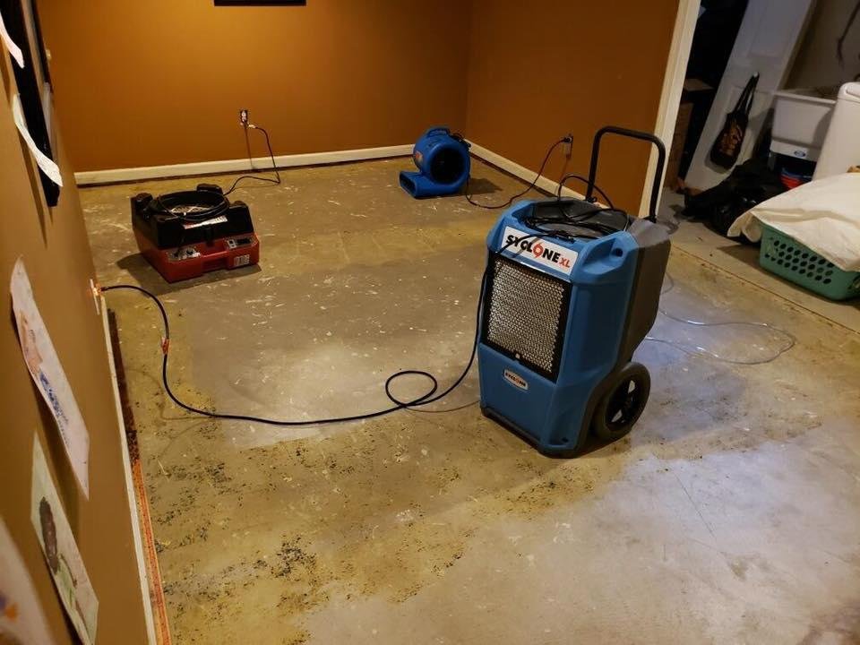 Photo of Royalty Air Duct & Carpet Cleaning