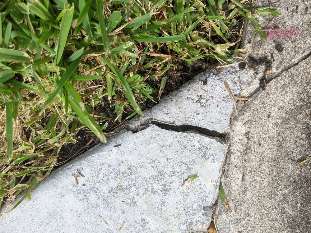 Photo of Mr. Sidewalk