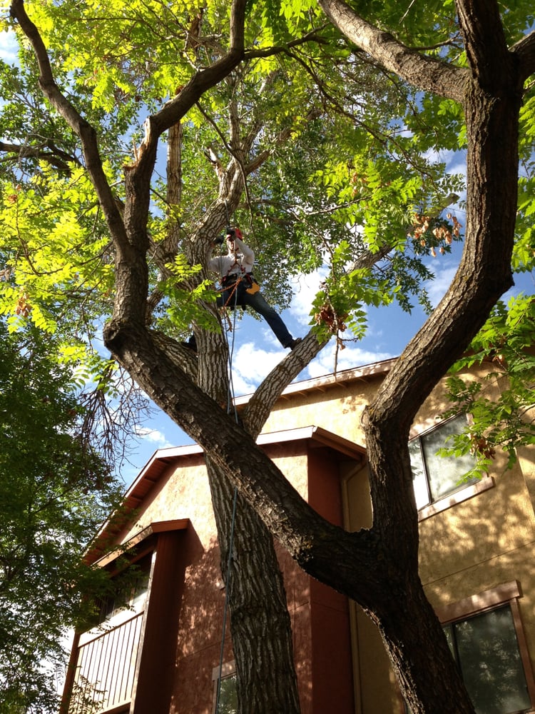 Photo of Kimball Property Maintenance