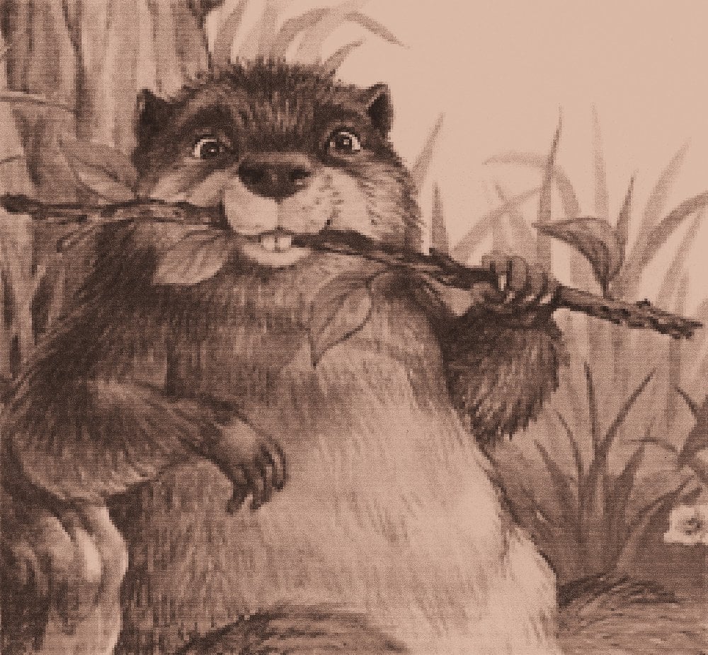 Photo of Woodchuck Flooring