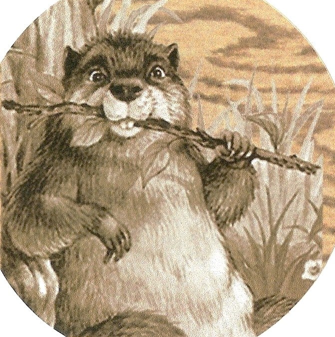 Photo of Woodchuck Flooring