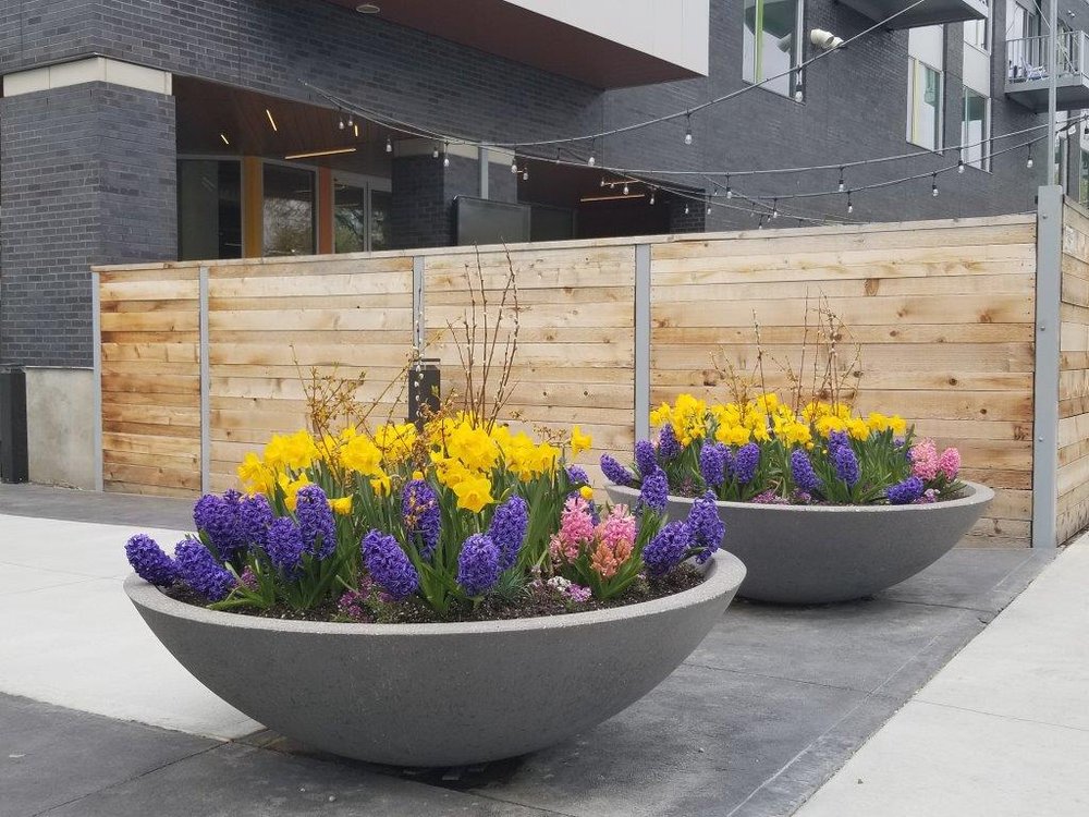 Photo of Precision Landscape Service