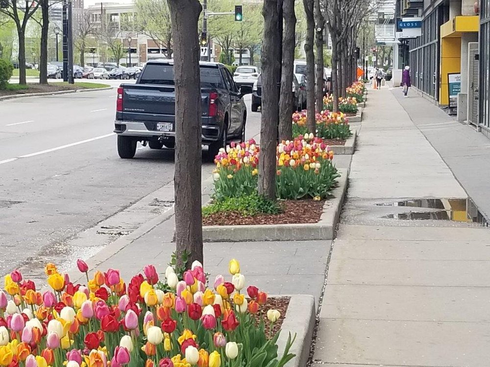 Photo of Precision Landscape Service