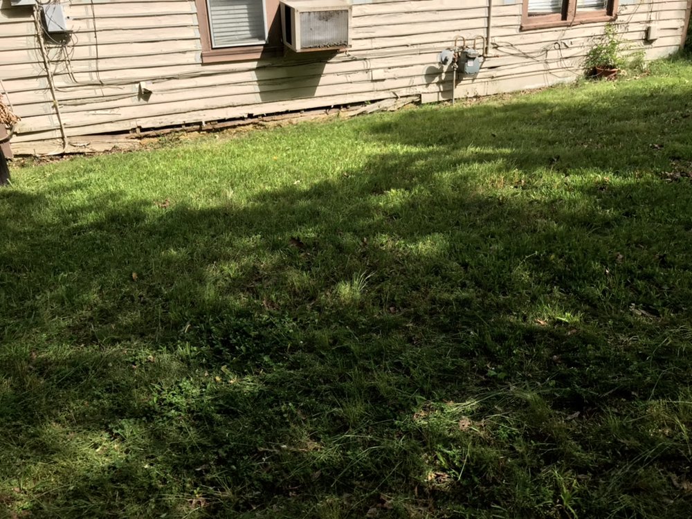 Photo of Brother Lawn Care & Landscaping