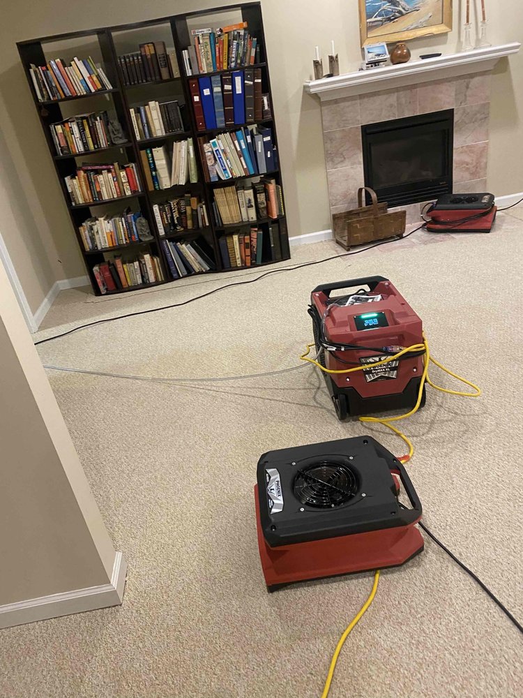 Photo of All Dry Services of NW Metro Detroit