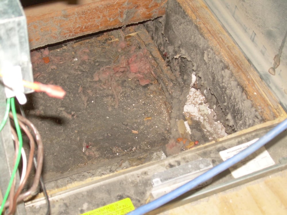 Photo of Southwest Chimney, Stoves & Air Duct Cleaning