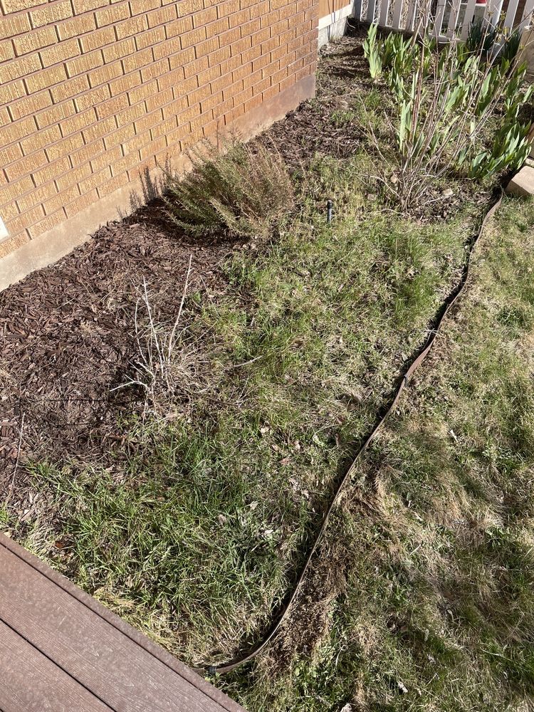 Photo of Tuxedo Yard Care