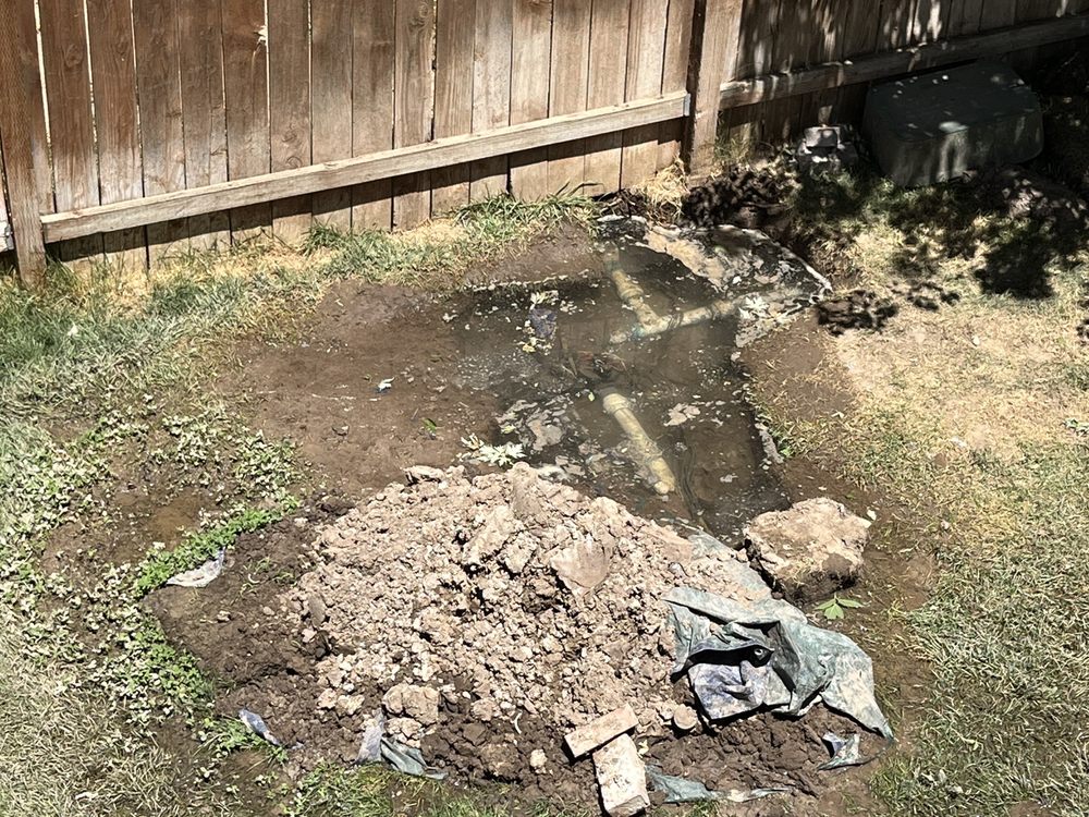 Photo of Tuxedo Yard Care