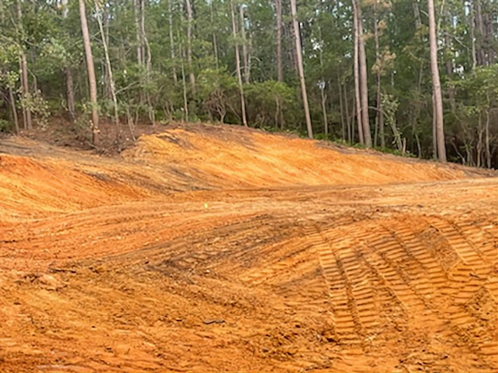 Photo of Lane Clearing and Grading