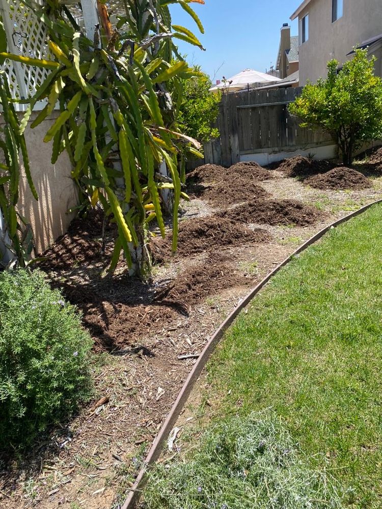 Photo of Expo Landscaping