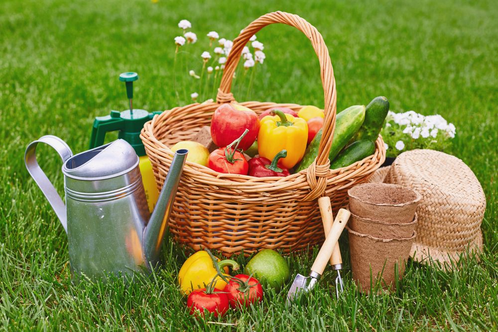 Photo of Full Features Landscape & Garden Center