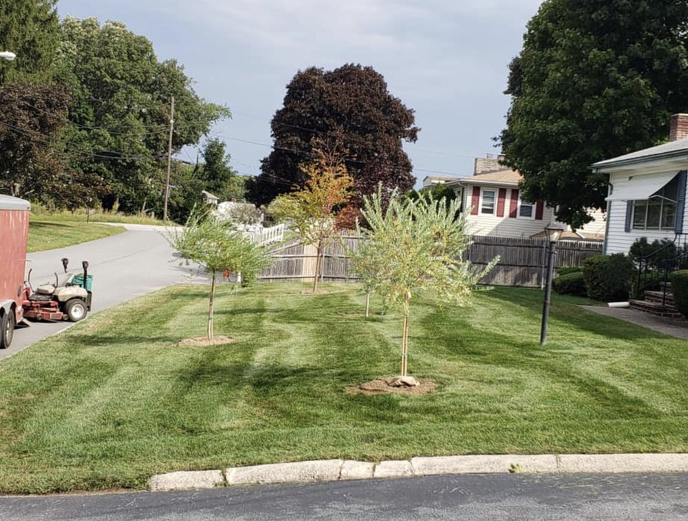 Photo of Pristine Lawn Care