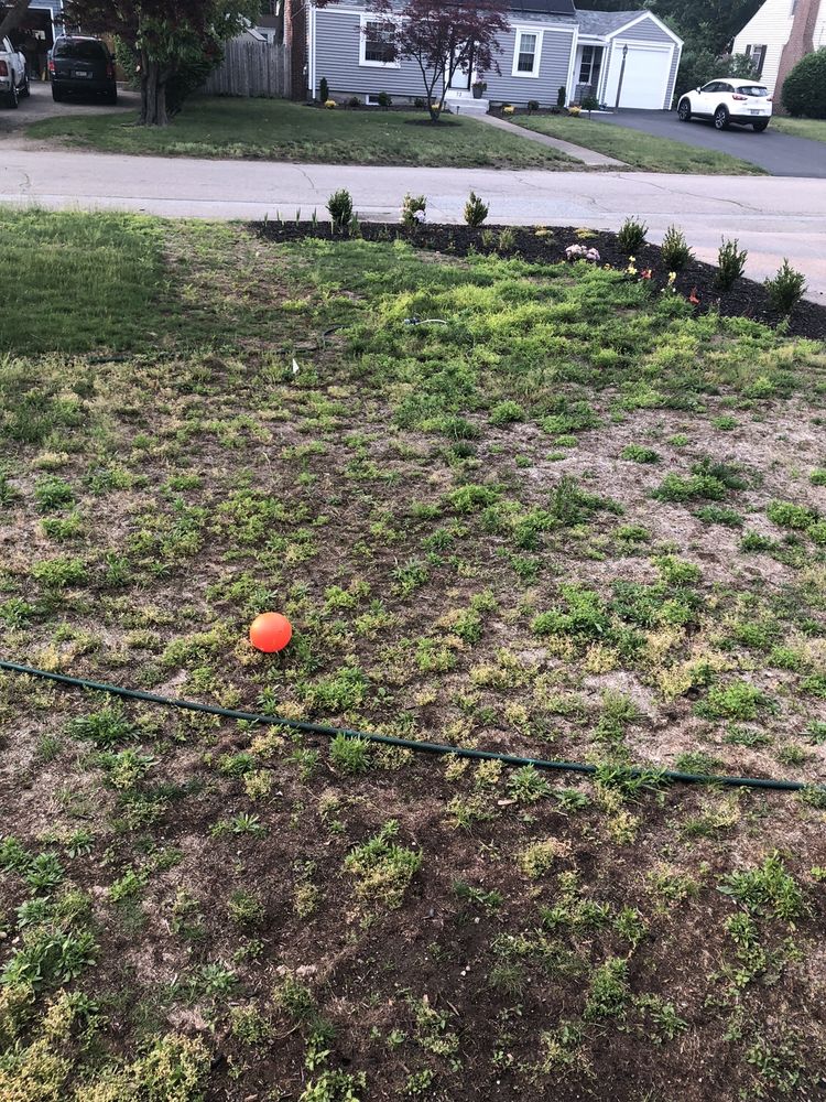 Photo of Pristine Lawn Care
