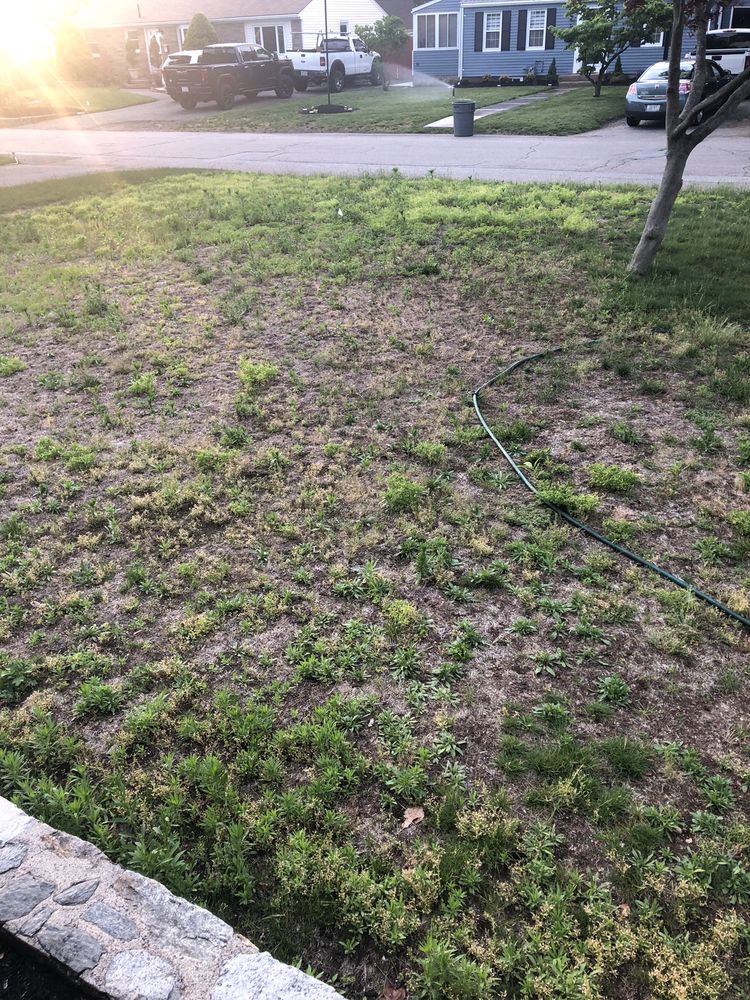Photo of Pristine Lawn Care