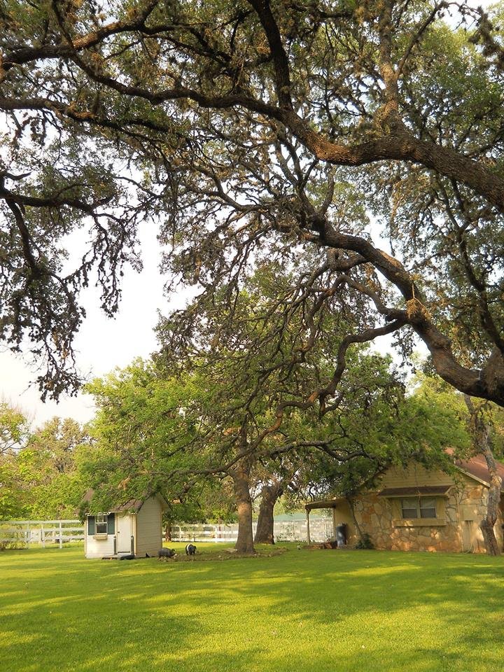 Photo of Texan House
