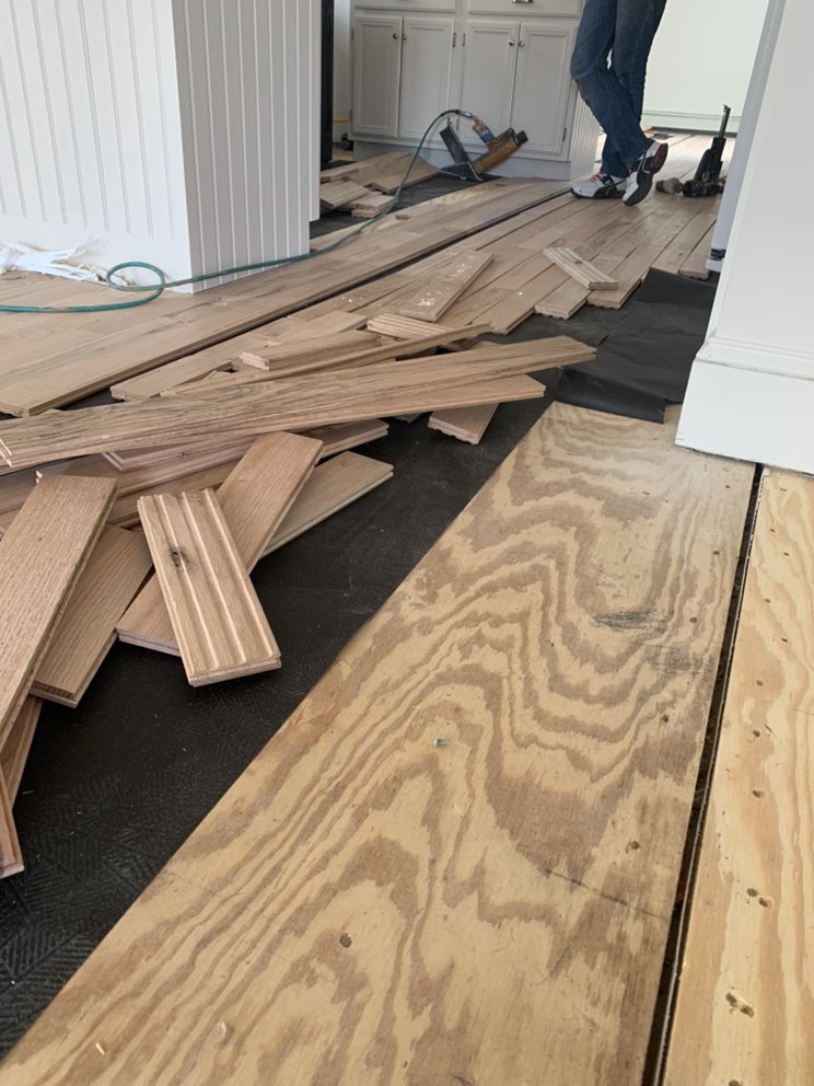 Photo of Carvalho Junior Hardwood Floors
