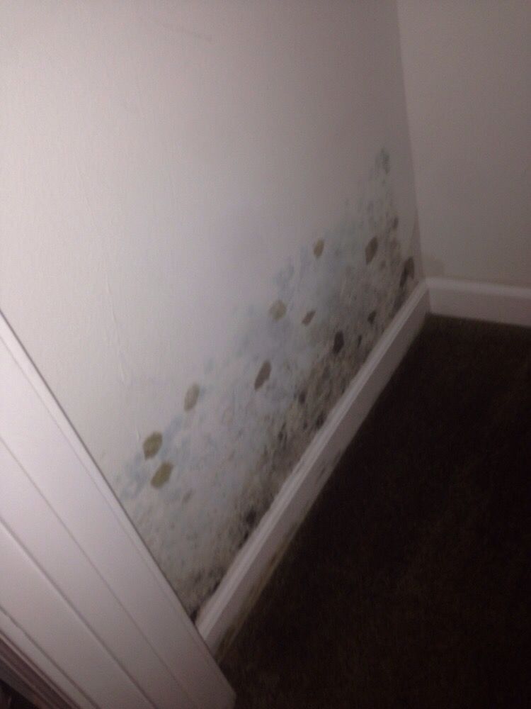 Photo of HCF Cleaning & Restoration
