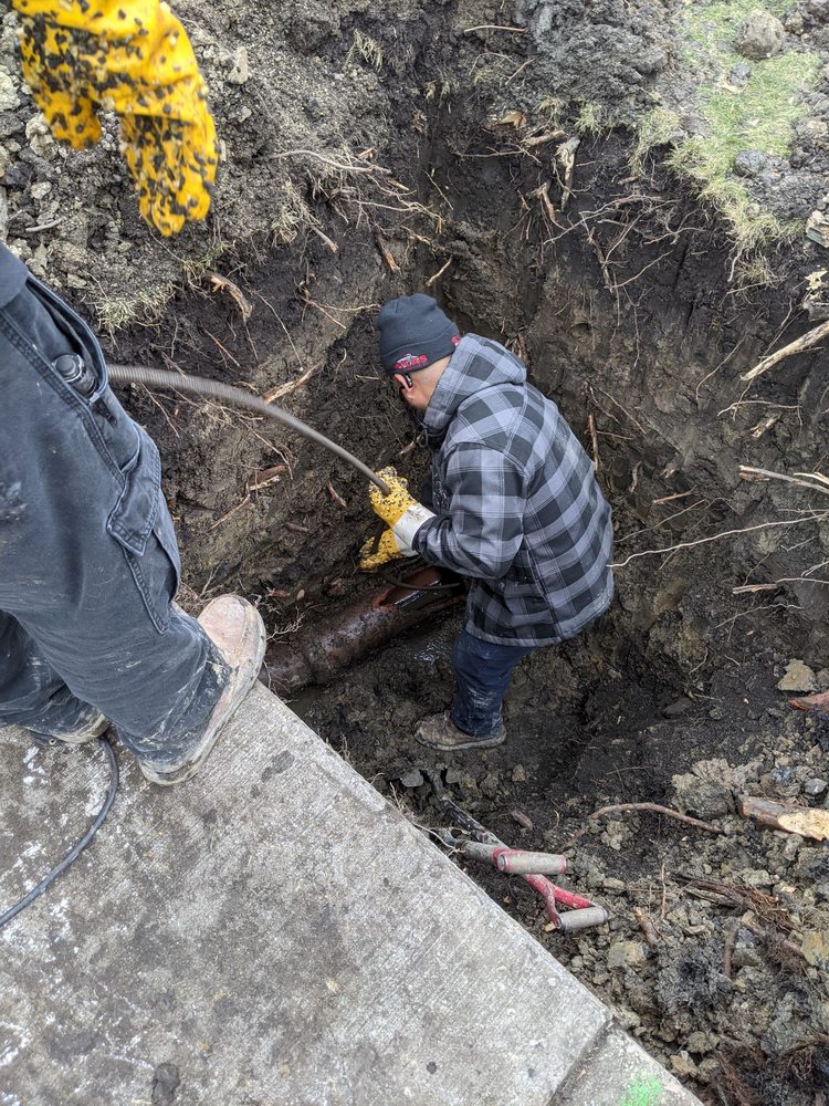 Photo of All Rooter Hydro Jetting Sewer & Drain Experts