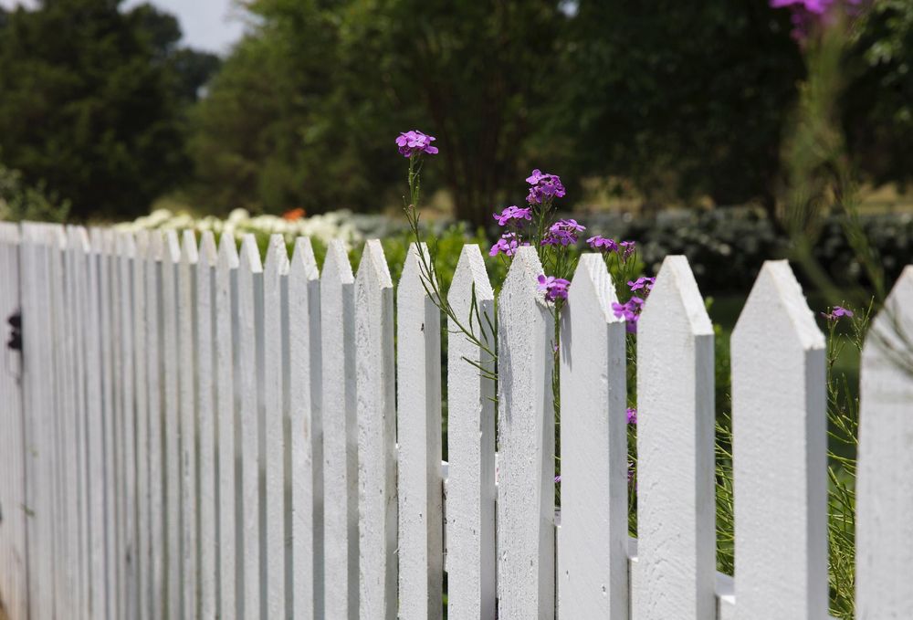 Photo of Mr. Fence