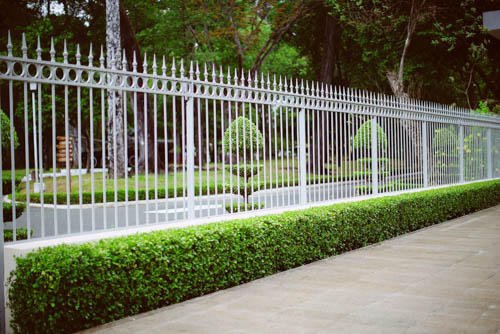 Photo of Mr. Fence