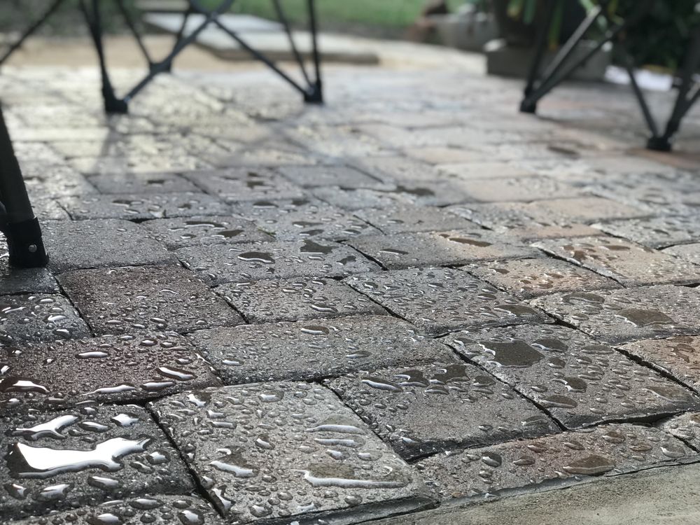 Photo of SteamForce Advanced Cleaning Technology Solutions