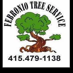 Photo of Febronio Tree Service