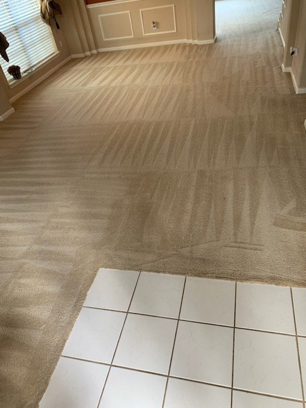 Photo of Jetty Carpet Cleaning