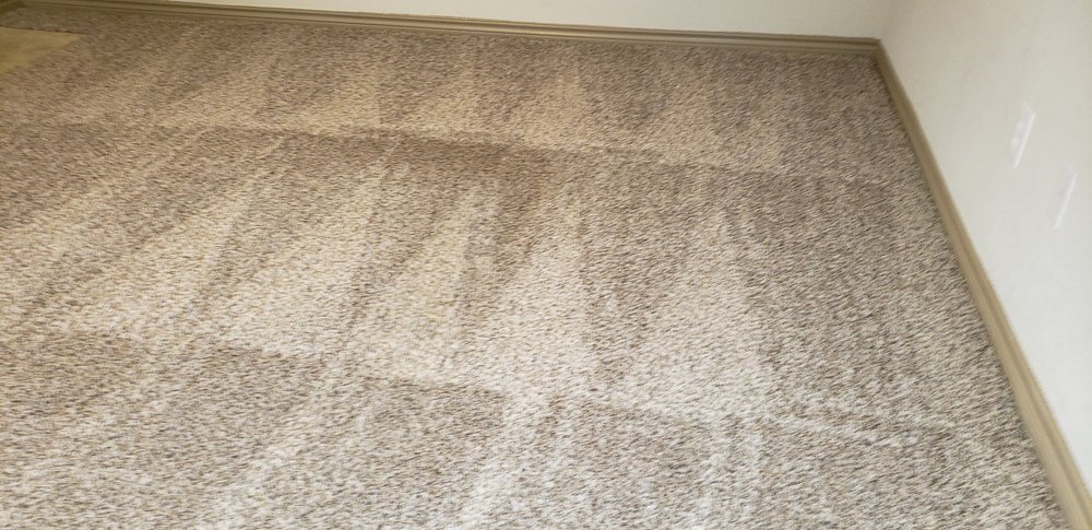 Photo of Jetty Carpet Cleaning