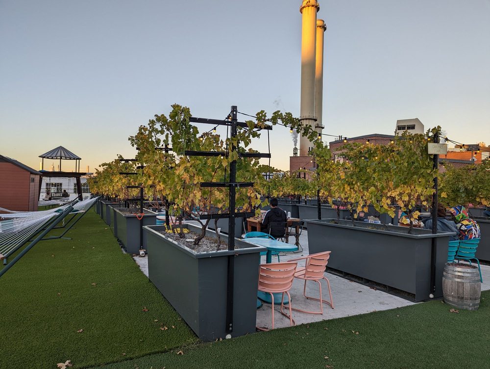 Photo of Rooftop Reds