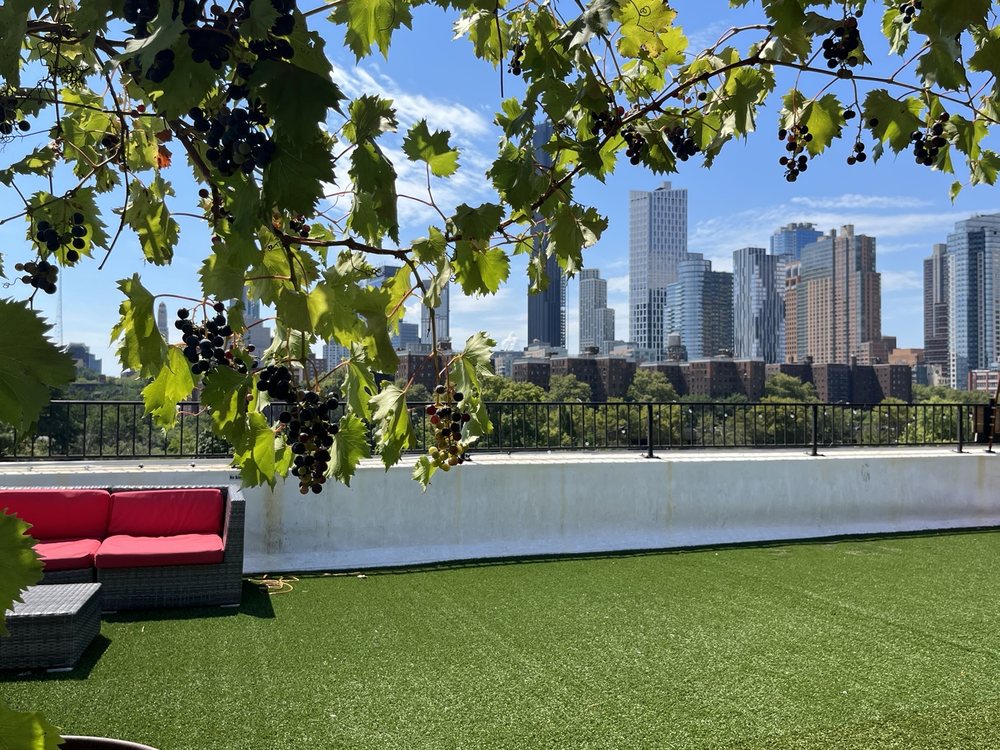 Photo of Rooftop Reds