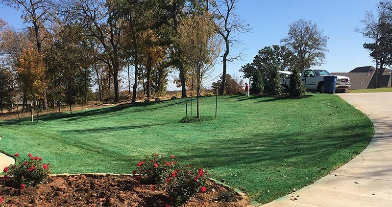 Photo of Willis Lawn Services