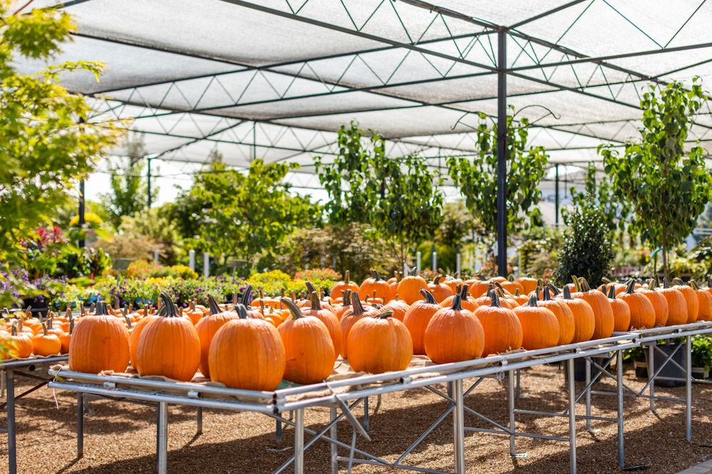 Photo of Passiglia's Nursery & Garden Center