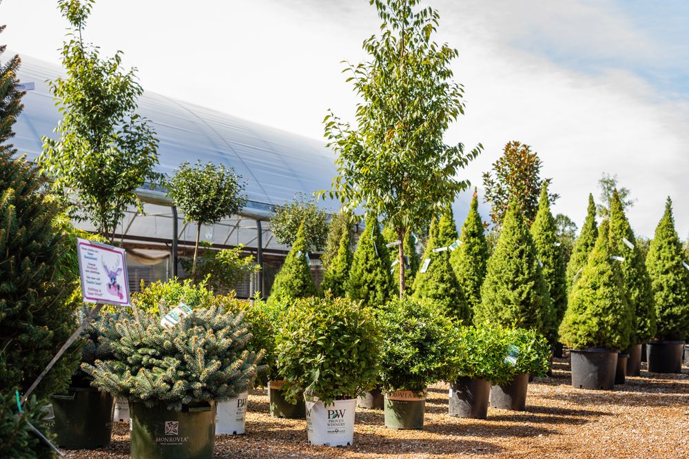 Photo of Passiglia's Nursery & Garden Center