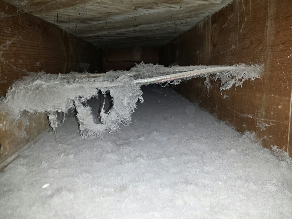 Photo of Aurora-Edmonds Furnace Cleaning