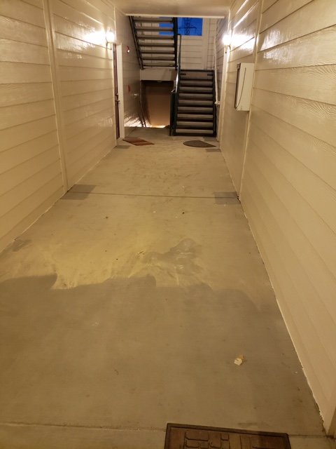 Photo of Shaker Painting