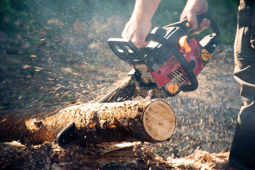 Photo of Greenlawn Landscaping