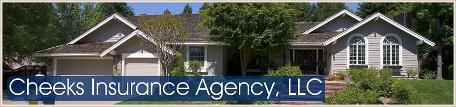 Photo of Cheeks Insurance Agency