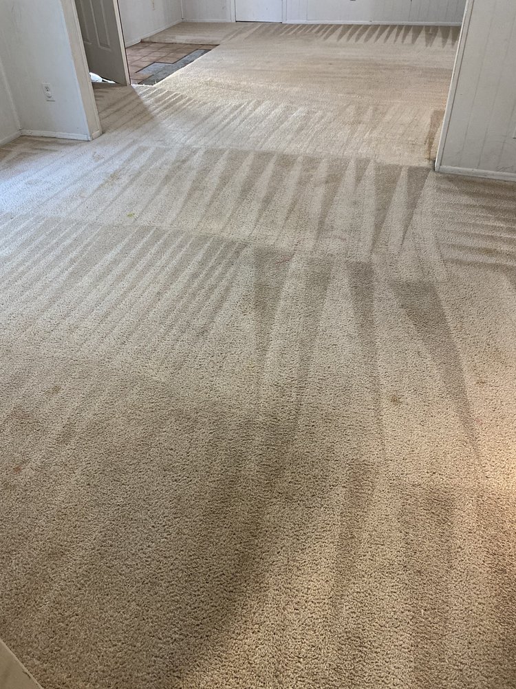 Photo of Blue Ribbon Carpet Cleaning