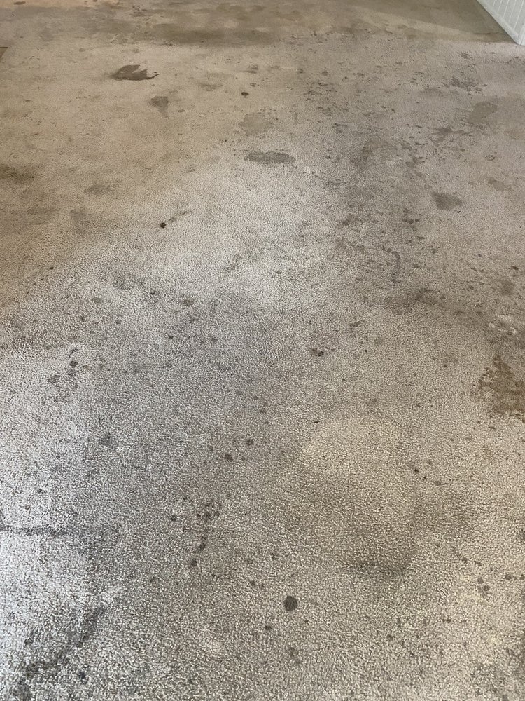 Photo of Blue Ribbon Carpet Cleaning