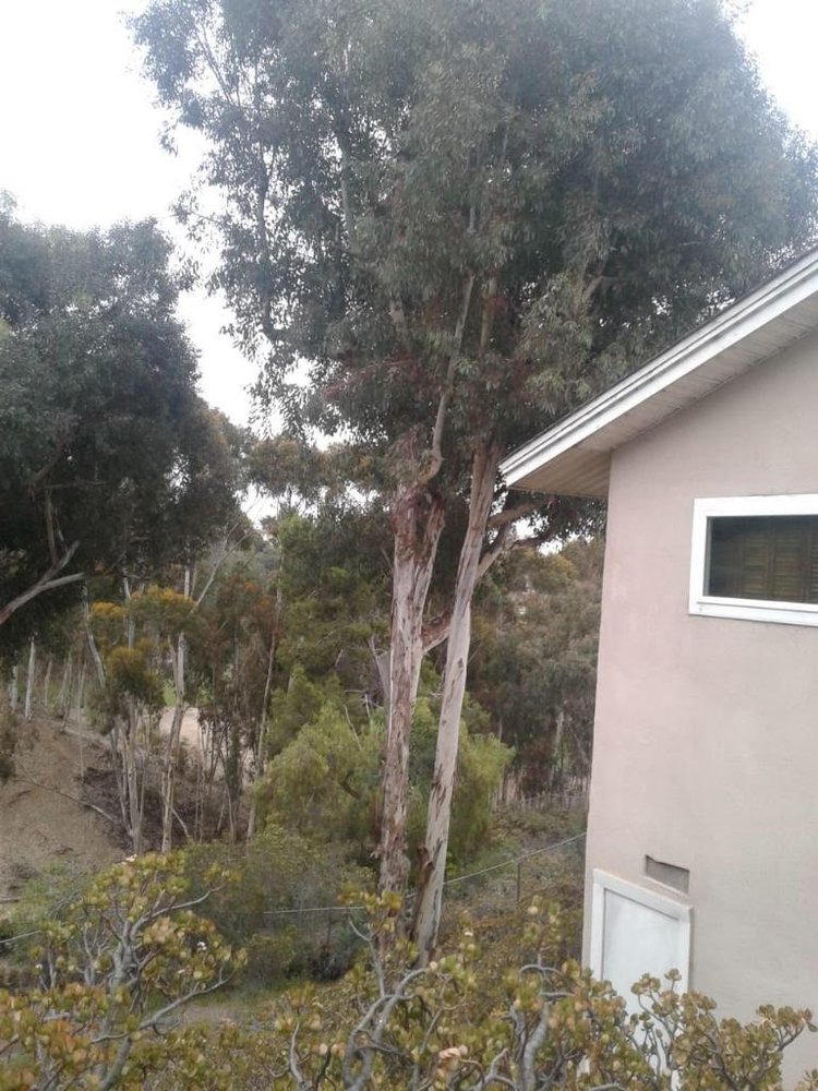 Photo of Alde Landscaping