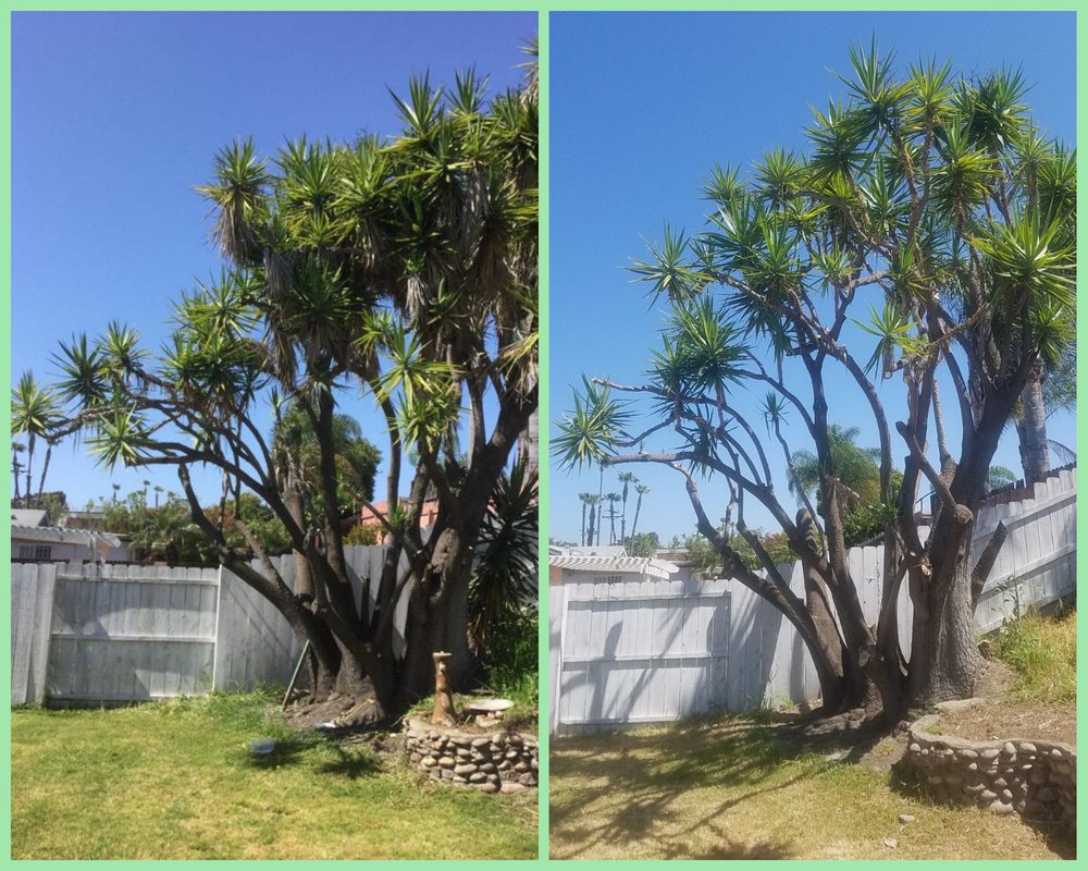 Photo of Alde Landscaping