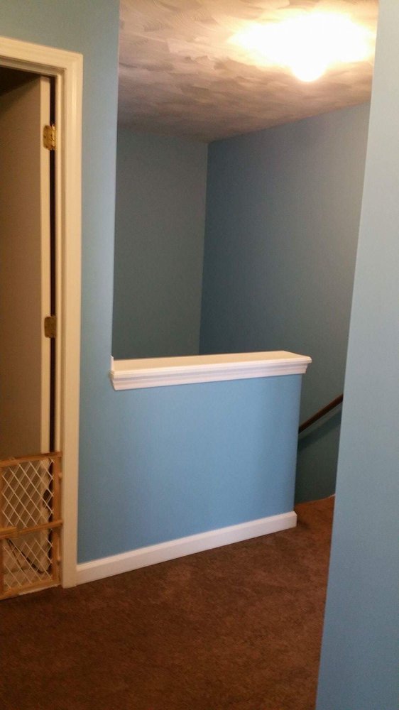 Photo of Sanchez Pro Painting